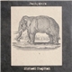 Michael Chapman - Pachyderm